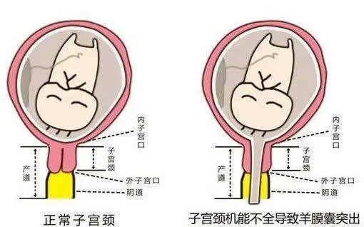 微信图片_20201014170135.png